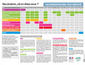 Calendrier vaccinal 2010 simplifié - affichette