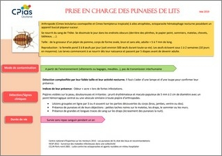 Punaises de lit : prise en charge - brochure - Centre d'appui pour la prévention des infections associées aux soins