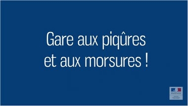 Prévention piqûres et morsures - #EtéSansSouci - vidéo - Ministère chargé de la Santé