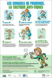 Affiche tactique anti-tiques - Santé publique France