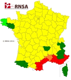 Carte de vigilance pollinique RNSA