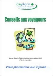 Conseils aux voyageurs 2013 – brochure Cespharm