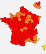 Carte pollens vigilance RNSA -fin mai 2020