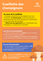 champignons rappel des bons reflexes