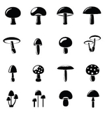 Champignons Cespharm - visuel DGS
