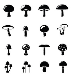 Champignons Cespharm - visuel DGS
