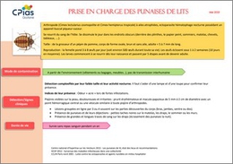 Punaises de lit : prise en charge - brochure - Centre d'appui pour la prévention des infections associées aux soins